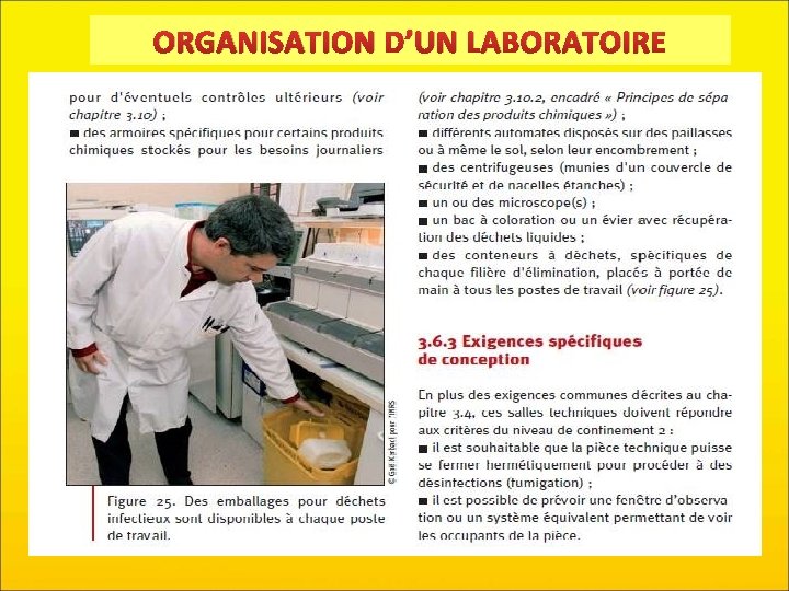 ORGANISATION D’UN LABORATOIRE 