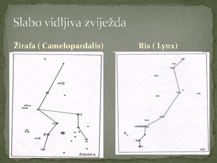 Slabo vidljiva zviježđa Žirafa ( Camelopardalis) Ris ( Lynx) 