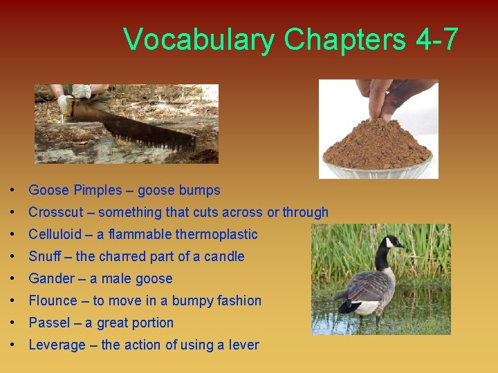 Vocabulary Chapters 4 -7 • Goose Pimples – goose bumps • Crosscut – something