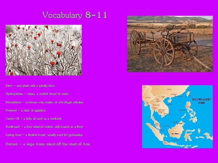 Vocabulary 8 -11 Brier – any plant with a prickly stem Hydrophobia – rabies,