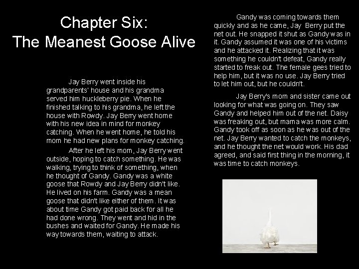 Chapter Six: The Meanest Goose Alive Jay Berry went inside his grandparents’ house and