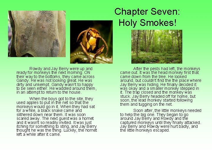 Chapter Seven: Holy Smokes! Rowdy and Jay Berry were up and ready for monkeys
