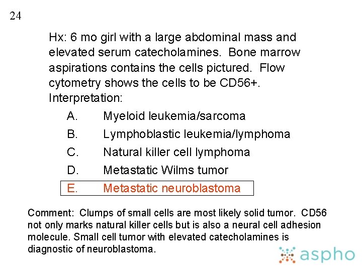 24 Hx: 6 mo girl with a large abdominal mass and elevated serum catecholamines.