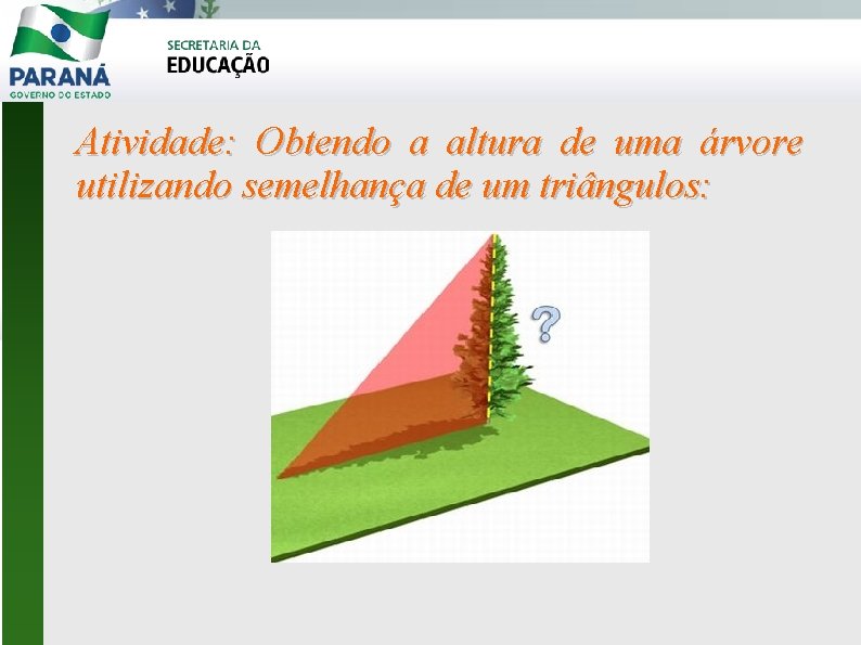 Atividade: Obtendo a altura de uma árvore utilizando semelhança de um triângulos: 