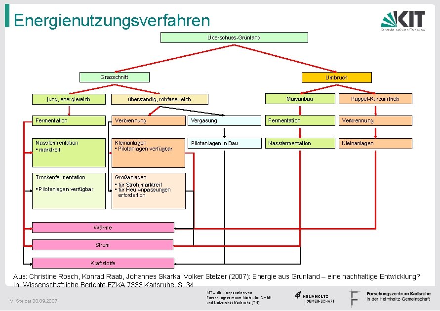 Energienutzungsverfahren Überschuss-Grünland Grasschnitt jung, energiereich Umbruch Maisanbau überständig, rohfaserreich Pappel-Kurzumtrieb Fermentation Verbrennung Vergasung Fermentation