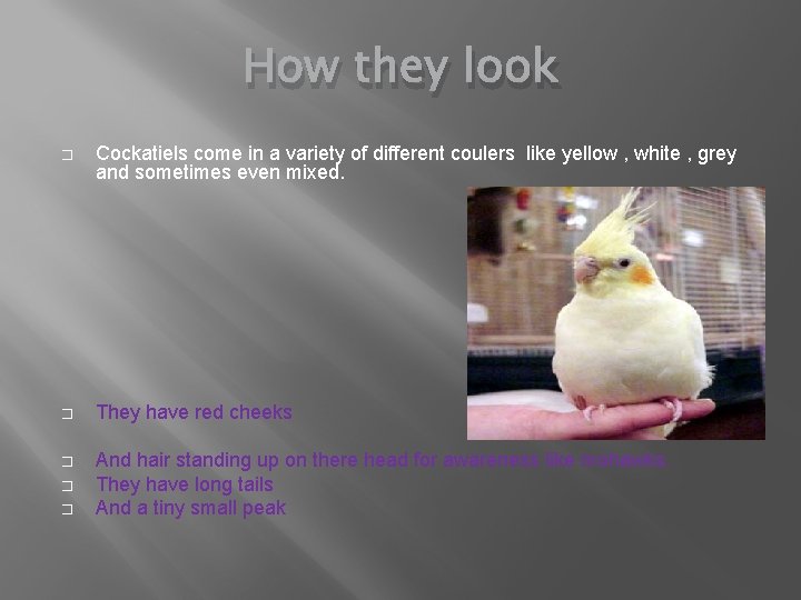 How they look � Cockatiels come in a variety of different coulers like yellow