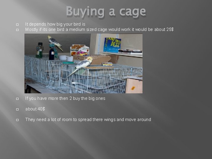 Buying a cage � It depends how big your bird is Mostly if its