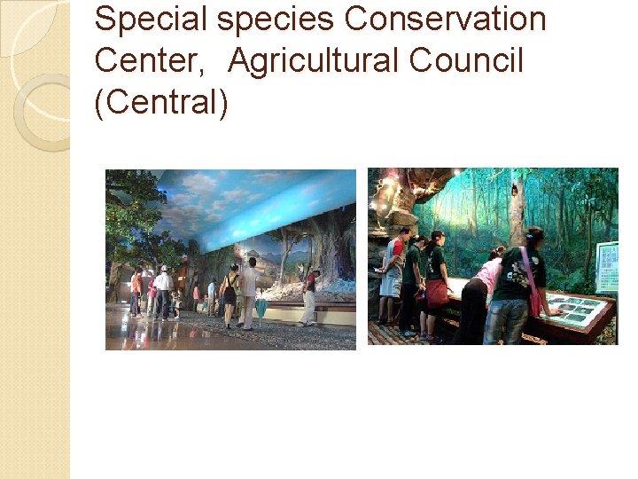 Special species Conservation Center, Agricultural Council (Central) 