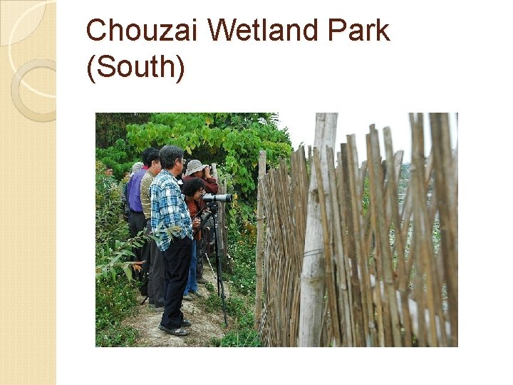 Chouzai Wetland Park (South) 