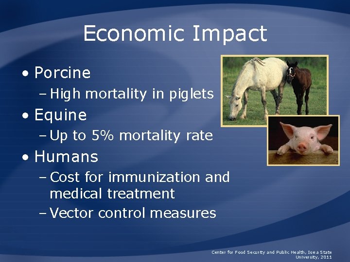 Economic Impact • Porcine – High mortality in piglets • Equine – Up to