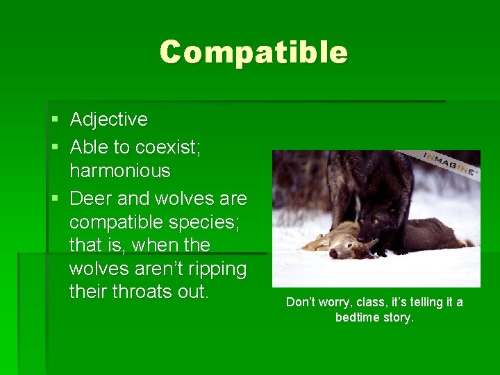Compatible § Adjective § Able to coexist; harmonious § Deer and wolves are compatible