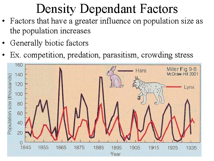 Density Dependant Factors • Factors that have a greater influence on population size as