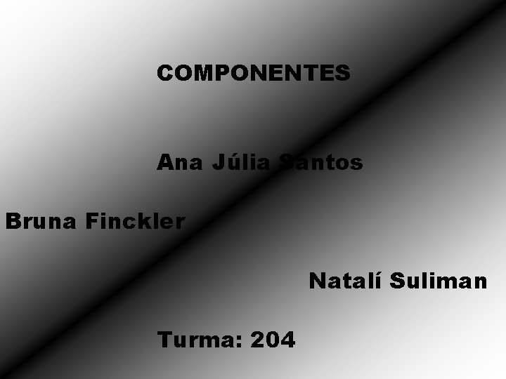 COMPONENTES Ana Júlia Santos Bruna Finckler Natalí Suliman Turma: 204 