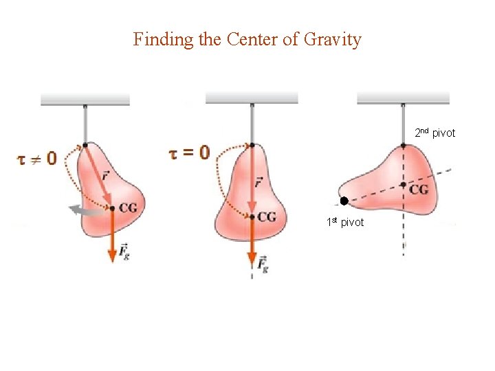 Finding the Center of Gravity 2 nd pivot 1 st pivot 