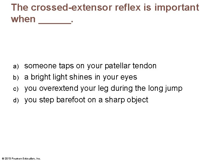 The crossed-extensor reflex is important when ______. someone taps on your patellar tendon b)