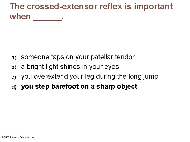 The crossed-extensor reflex is important when ______. someone taps on your patellar tendon b)
