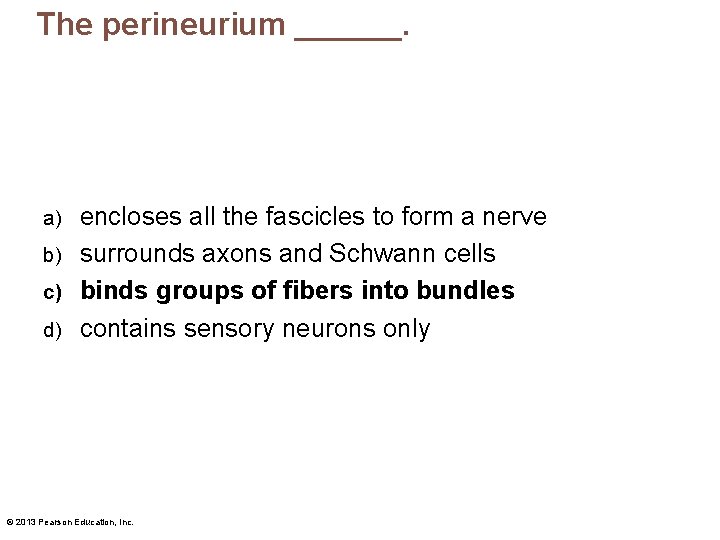 The perineurium ______. encloses all the fascicles to form a nerve b) surrounds axons