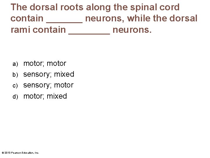 The dorsal roots along the spinal cord contain _______ neurons, while the dorsal rami