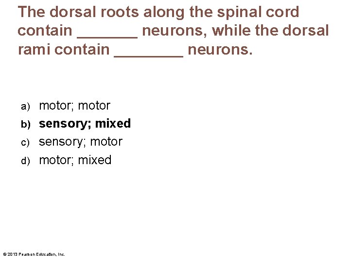 The dorsal roots along the spinal cord contain _______ neurons, while the dorsal rami