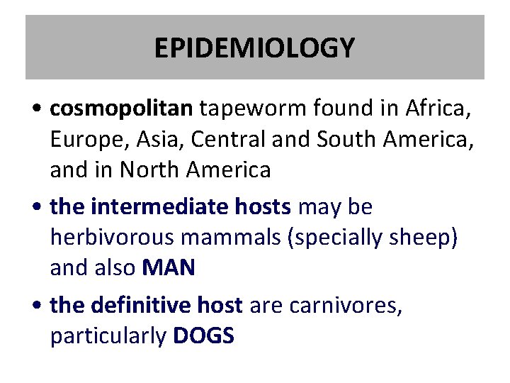 EPIDEMIOLOGY • cosmopolitan tapeworm found in Africa, Europe, Asia, Central and South America, and EPIDEMIOLOGY • cosmopolitan tapeworm found in Africa, Europe, Asia, Central and South America, and