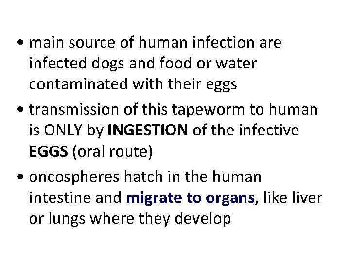 • main source of human infection are infected dogs and food or water • main source of human infection are infected dogs and food or water