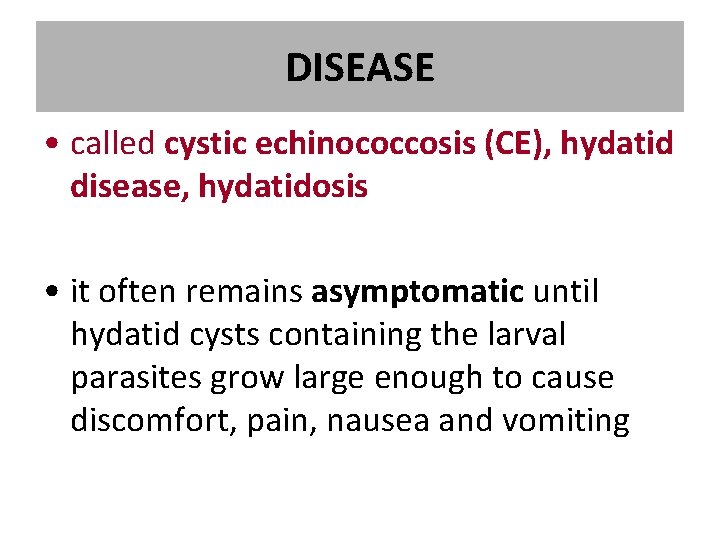 DISEASE • called cystic echinococcosis (CE), hydatid disease, hydatidosis • it often remains asymptomatic DISEASE • called cystic echinococcosis (CE), hydatid disease, hydatidosis • it often remains asymptomatic