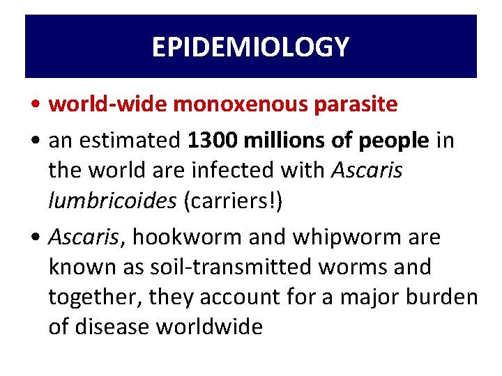EPIDEMIOLOGY • world-wide monoxenous parasite • an estimated 1300 millions of people in the EPIDEMIOLOGY • world-wide monoxenous parasite • an estimated 1300 millions of people in the