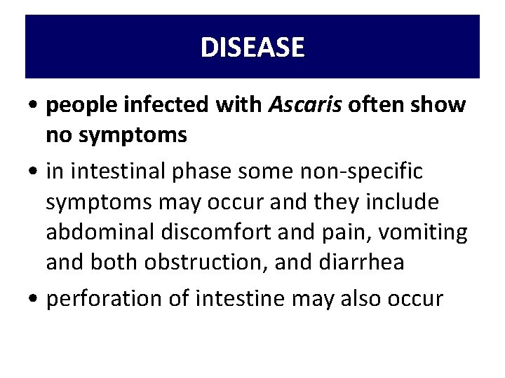 DISEASE • people infected with Ascaris often show no symptoms • in intestinal phase DISEASE • people infected with Ascaris often show no symptoms • in intestinal phase