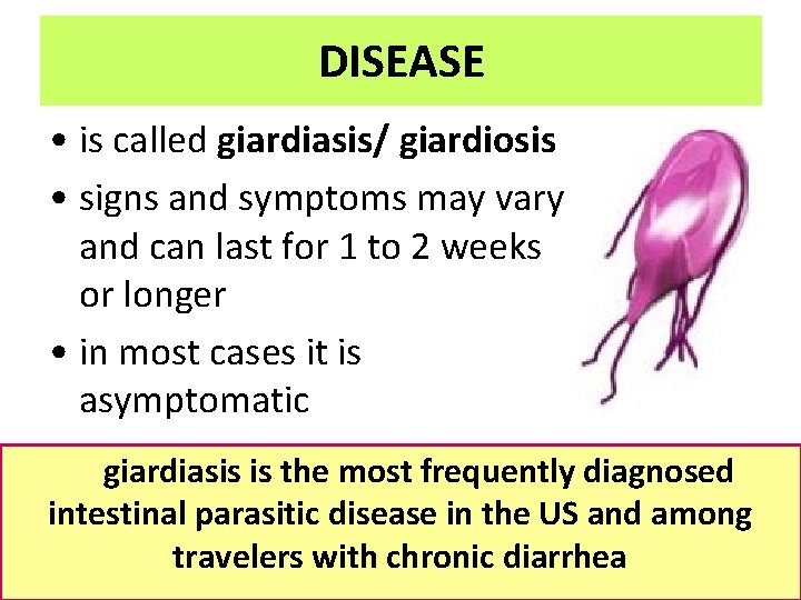 DISEASE • is called giardiasis/ giardiosis • signs and symptoms may vary and can DISEASE • is called giardiasis/ giardiosis • signs and symptoms may vary and can
