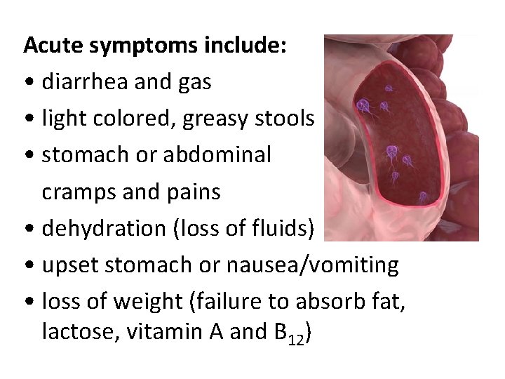 Acute symptoms include: • diarrhea and gas • light colored, greasy stools • stomach Acute symptoms include: • diarrhea and gas • light colored, greasy stools • stomach