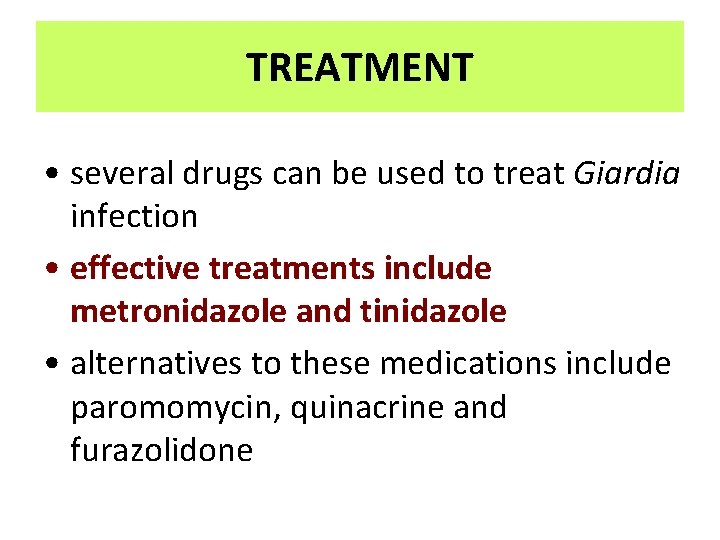 TREATMENT • several drugs can be used to treat Giardia infection • effective treatments TREATMENT • several drugs can be used to treat Giardia infection • effective treatments