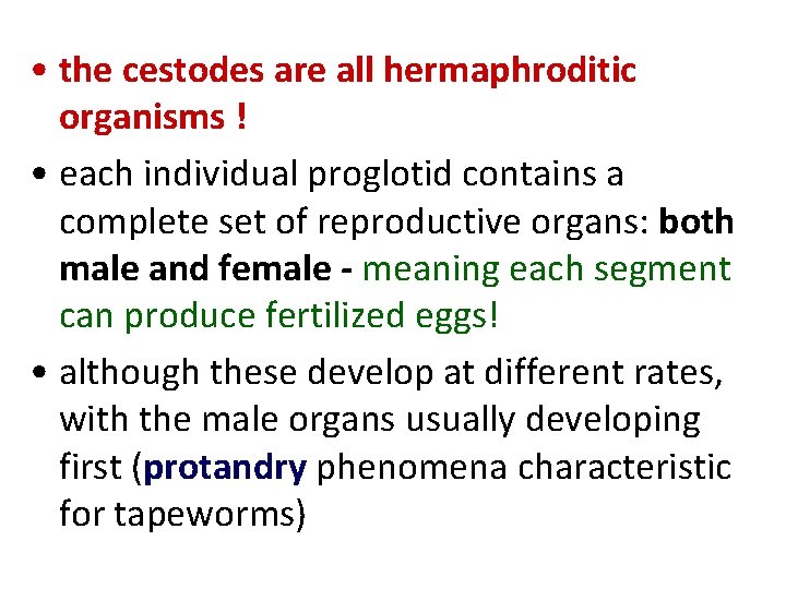 • the cestodes are all hermaphroditic organisms ! • each individual proglotid contains • the cestodes are all hermaphroditic organisms ! • each individual proglotid contains