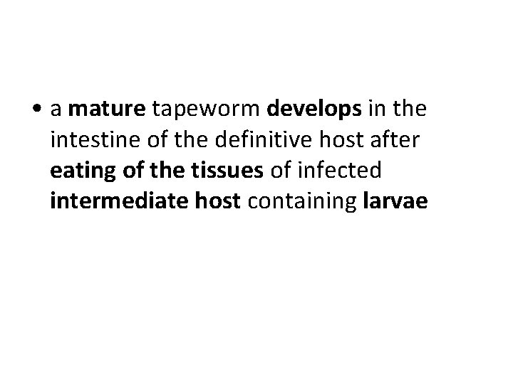 • a mature tapeworm develops in the intestine of the definitive host after • a mature tapeworm develops in the intestine of the definitive host after