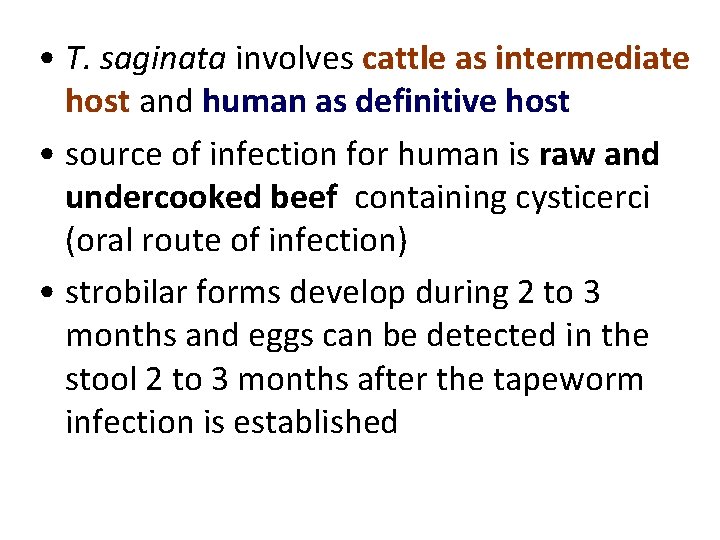 • T. saginata involves cattle as intermediate host and human as definitive host • T. saginata involves cattle as intermediate host and human as definitive host