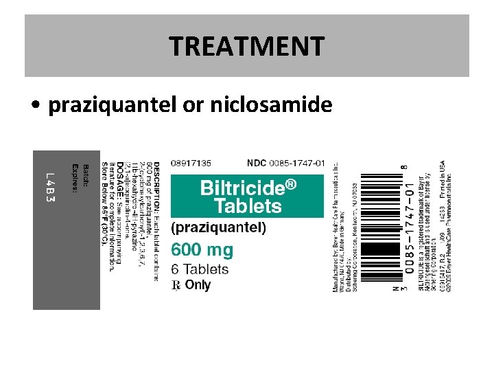TREATMENT • praziquantel or niclosamide TREATMENT • praziquantel or niclosamide