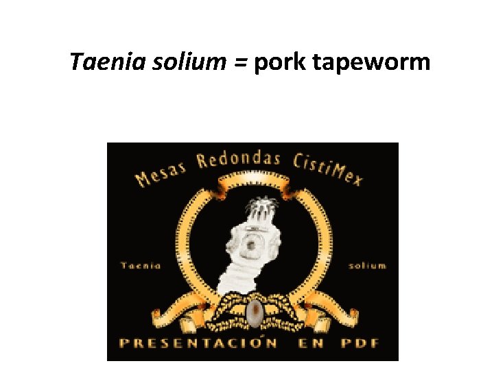 Taenia solium = pork tapeworm Taenia solium = pork tapeworm