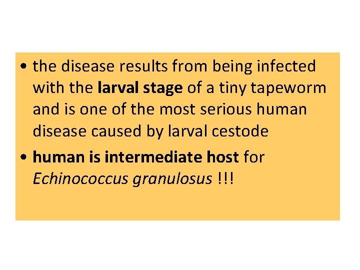 • the disease results from being infected with the larval stage of a • the disease results from being infected with the larval stage of a