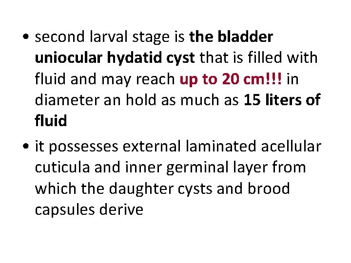 • second larval stage is the bladder uniocular hydatid cyst that is filled • second larval stage is the bladder uniocular hydatid cyst that is filled