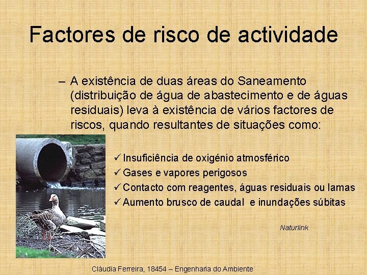 Factores de risco de actividade – A existência de duas áreas do Saneamento (distribuição