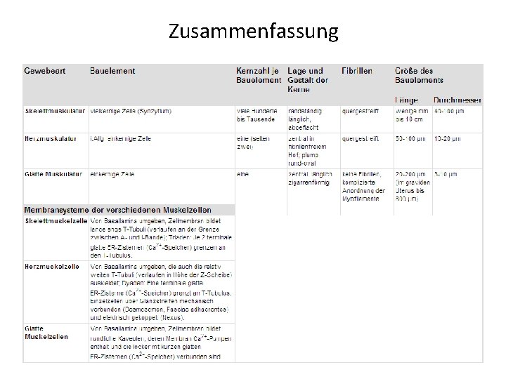 Zusammenfassung 