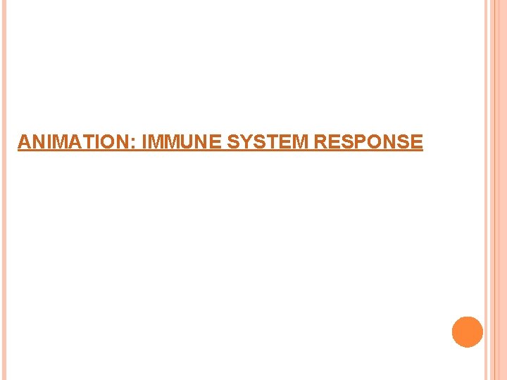 ANIMATION: IMMUNE SYSTEM RESPONSE 