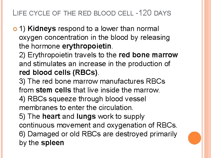 LIFE CYCLE OF THE RED BLOOD CELL -120 DAYS 1) Kidneys respond to a