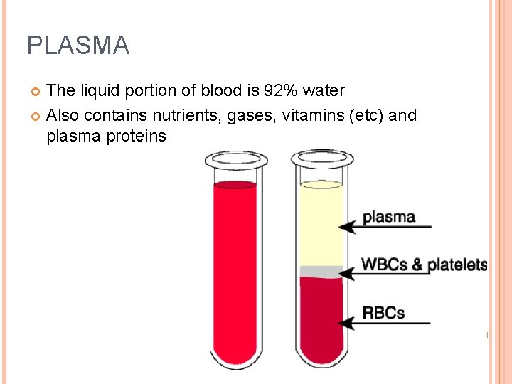 PLASMA The liquid portion of blood is 92% water Also contains nutrients, gases, vitamins