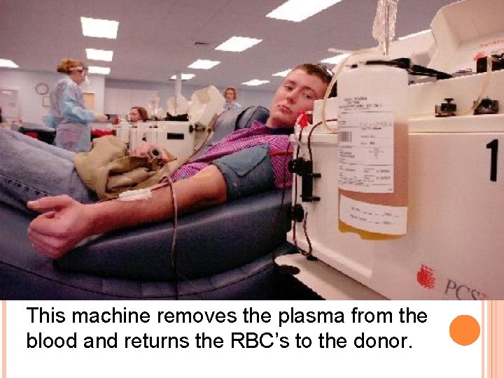  This machine removes the plasma from the blood and returns the RBC’s to