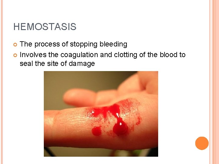 HEMOSTASIS The process of stopping bleeding Involves the coagulation and clotting of the blood