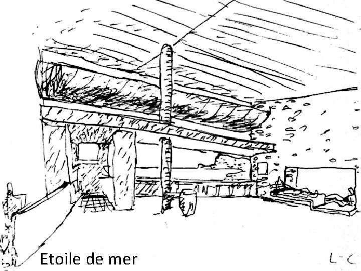 Etoile de mer 