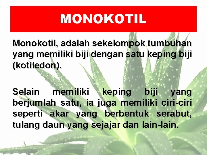 MONOKOTIL Monokotil, adalah sekelompok tumbuhan yang memiliki biji dengan satu keping biji (kotiledon). Selain