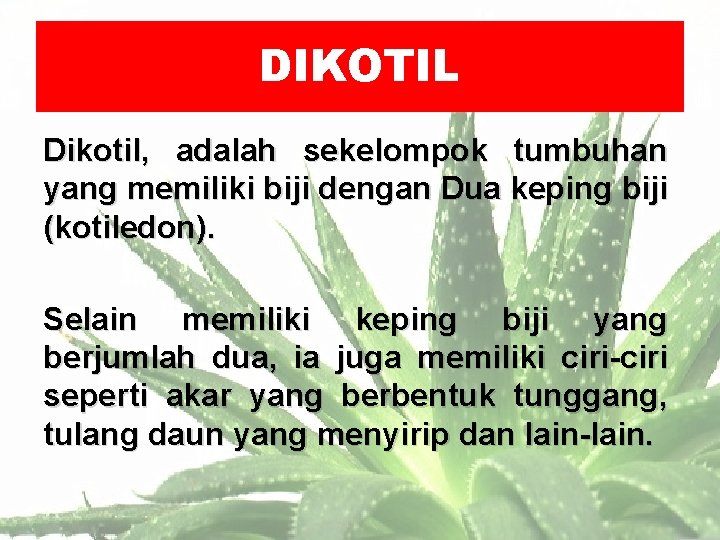 DIKOTIL Dikotil, adalah sekelompok tumbuhan yang memiliki biji dengan Dua keping biji (kotiledon). Selain