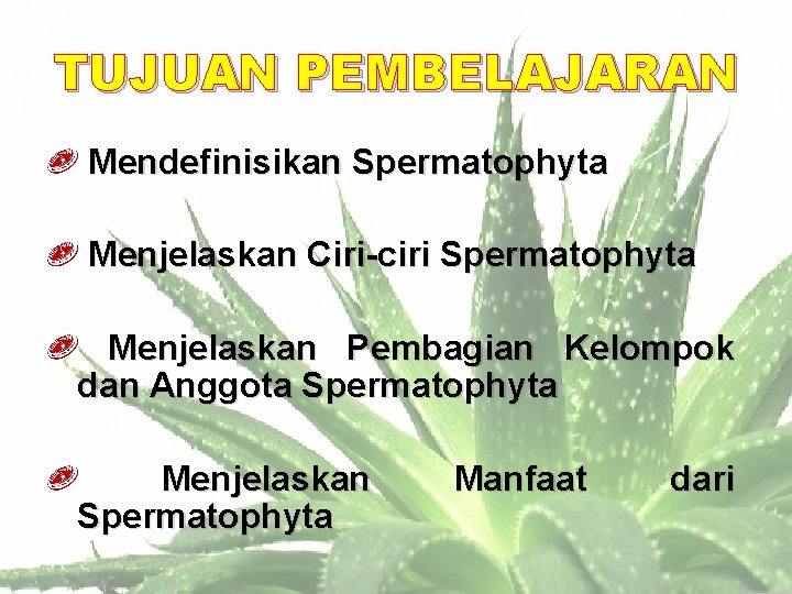 TUJUAN PEMBELAJARAN Mendefinisikan Spermatophyta Menjelaskan Ciri-ciri Spermatophyta Menjelaskan Pembagian Kelompok dan Anggota Spermatophyta Menjelaskan