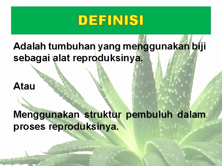 DEFINISI Adalah tumbuhan yang menggunakan biji sebagai alat reproduksinya. Atau Menggunakan struktur pembuluh dalam